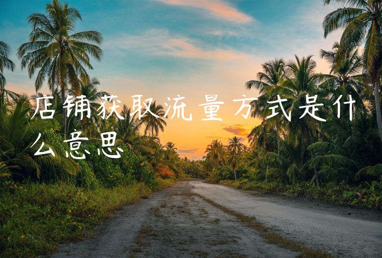 店铺获取流量方式是什么意思