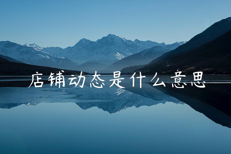 店铺动态是什么意思