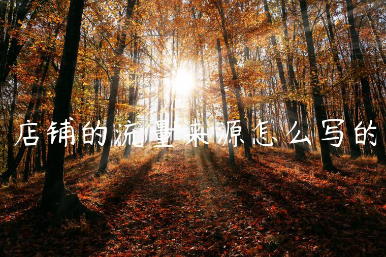 店铺的流量来源怎么写的 店铺的流量来源怎么写的