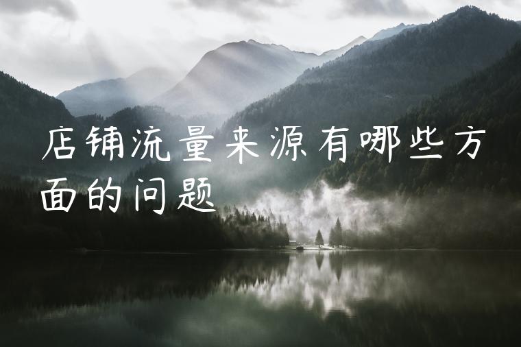 店铺流量来源有哪些方面的问题 店铺流量来源有哪些方面的问题