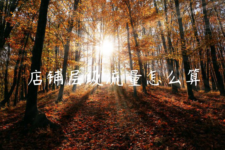 店铺层级流量怎么算 店铺层级流量怎么算
