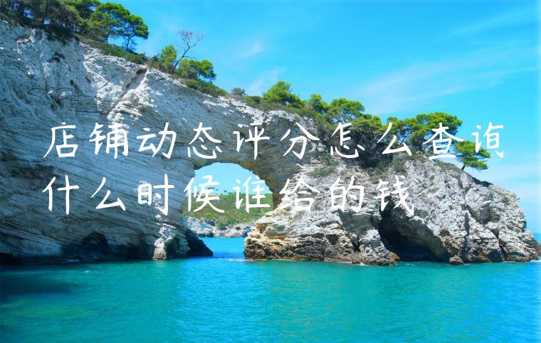 店铺动态评分怎么查询什么时候谁给的钱