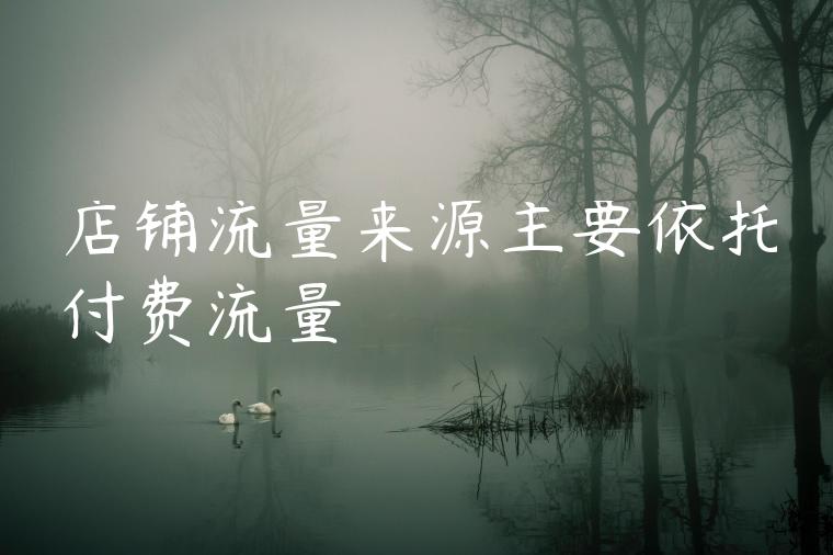 店铺流量来源主要依托付费流量
