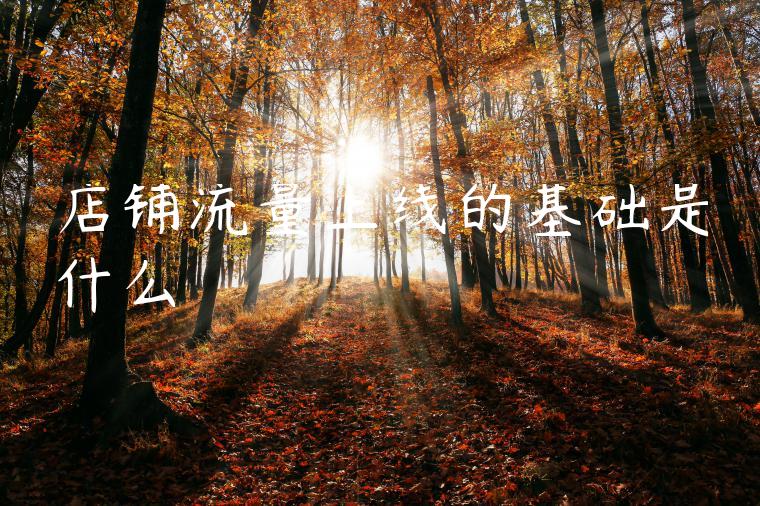 店铺流量上线的基础是什么 店铺流量上线的基础是什么