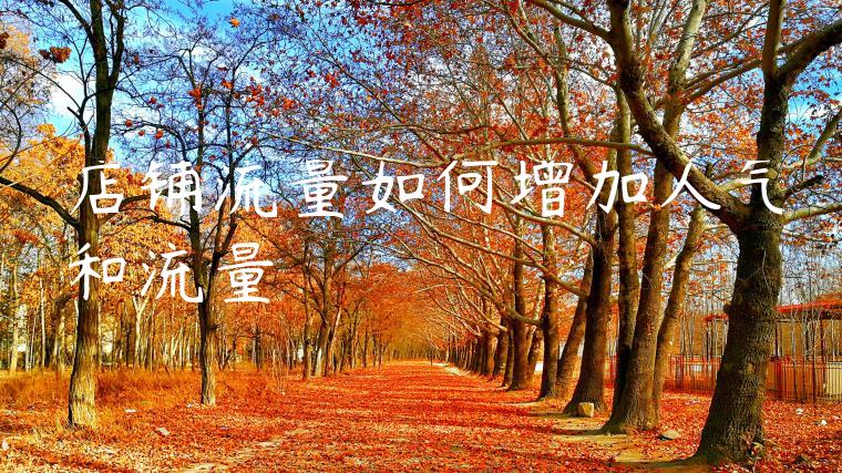 店铺流量如何增加人气和流量