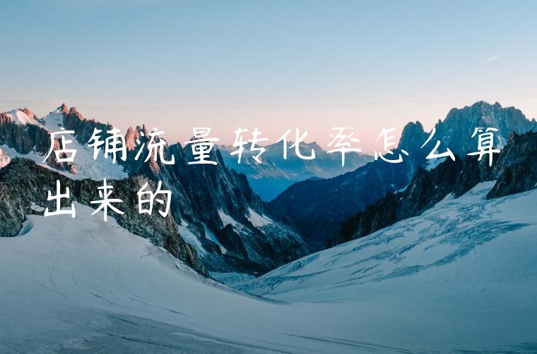 店铺流量转化率怎么算出来的 店铺流量转化率怎么算出来的