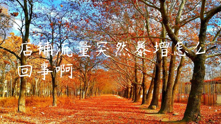 店铺流量突然暴增怎么回事啊 店铺流量突然暴增怎么回事啊