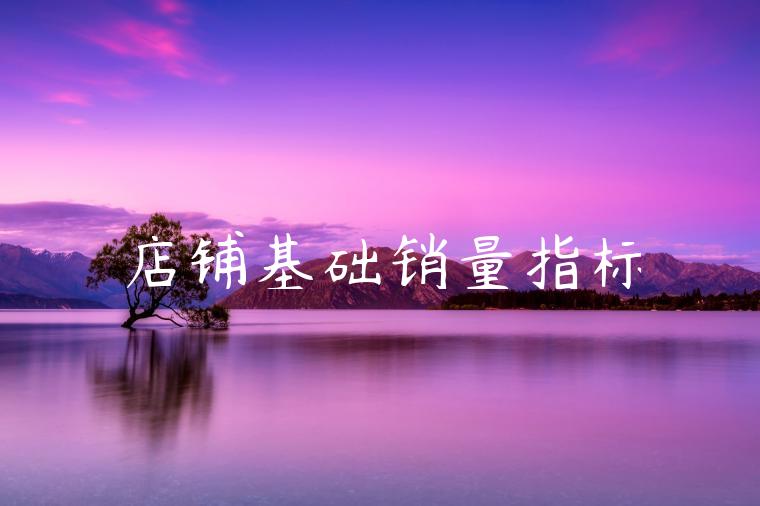店铺基础销量指标