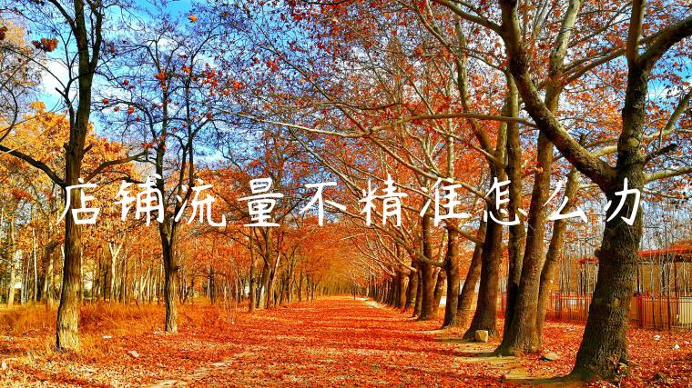 店铺流量不精准怎么办 店铺流量不精准怎么办