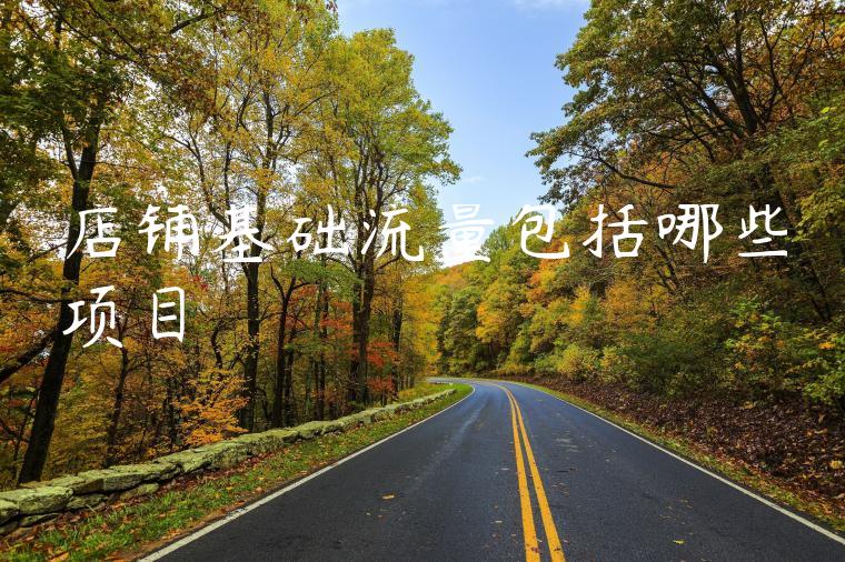 店铺基础流量包括哪些项目