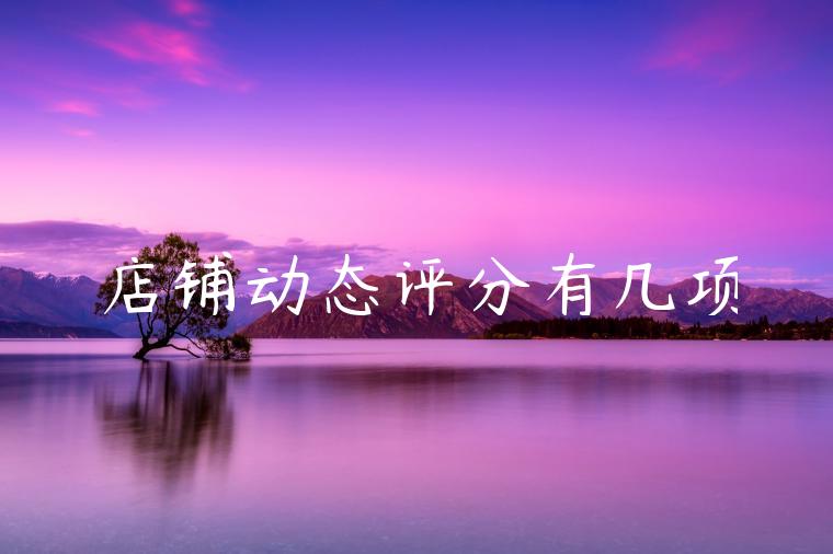 店铺动态评分有几项