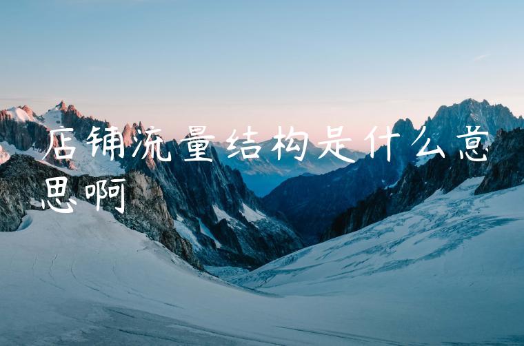 店铺流量结构是什么意思啊