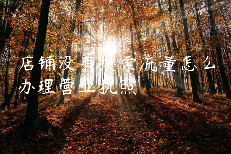 店铺没有搜索流量怎么办理营业执照