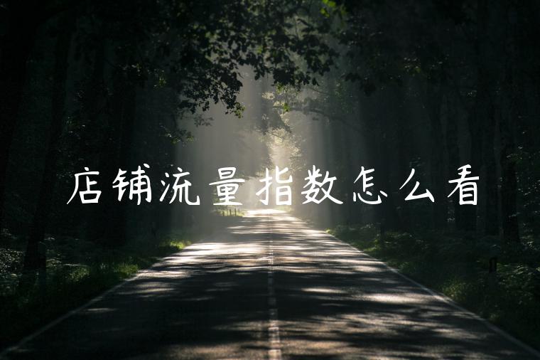 店铺流量指数怎么看