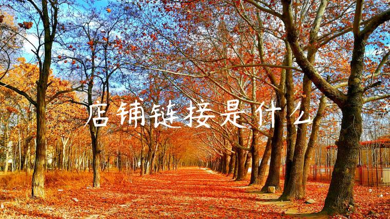 店铺链接是什么 店铺链接是什么