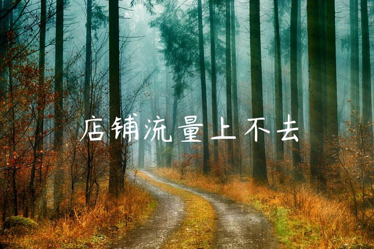 店铺流量上不去 店铺流量上不去