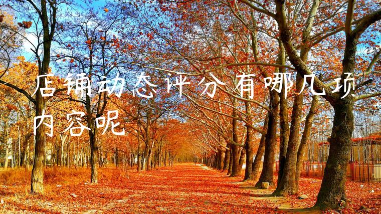 店铺动态评分有哪几项内容呢