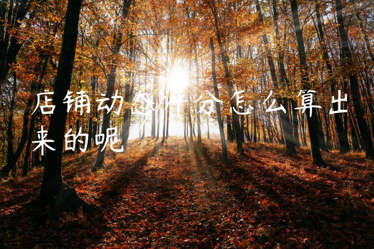 店铺动态评分怎么算出来的呢 店铺动态评分怎么算出来的呢