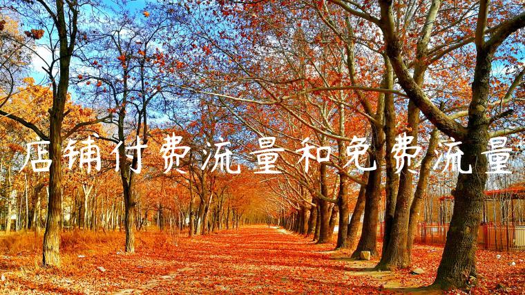 店铺付费流量和免费流量 店铺付费流量和免费流量