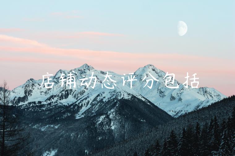店铺动态评分包括 店铺动态评分包括