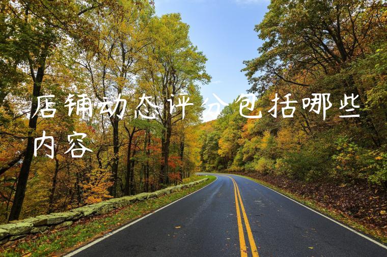 店铺动态评分包括哪些内容
