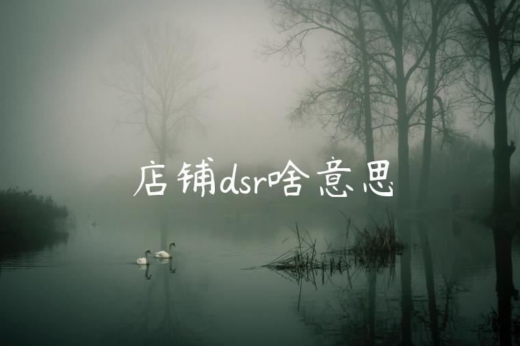 店铺dsr啥意思