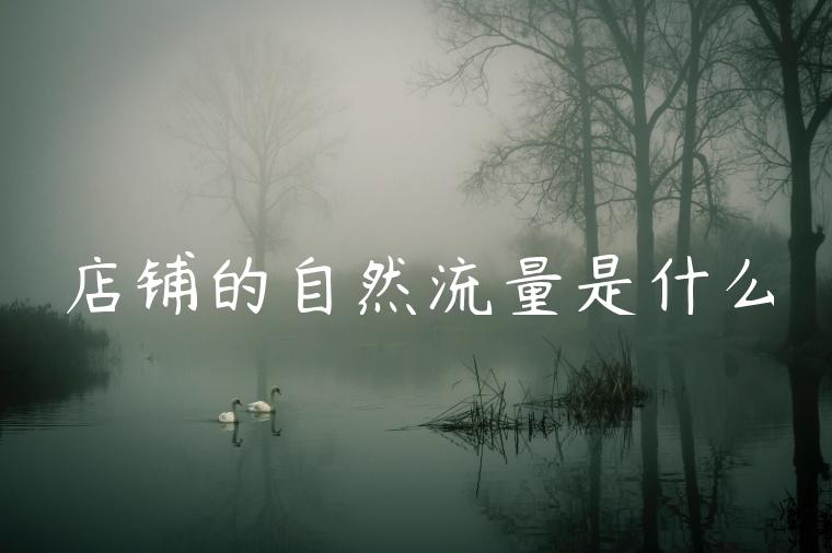 店铺的自然流量是什么 店铺的自然流量是什么