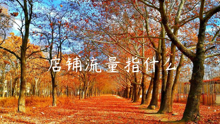 店铺流量指什么 店铺流量指什么