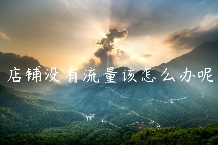 店铺没有流量该怎么办呢 店铺没有流量该怎么办呢