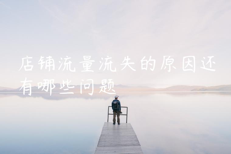 店铺流量流失的原因还有哪些问题
