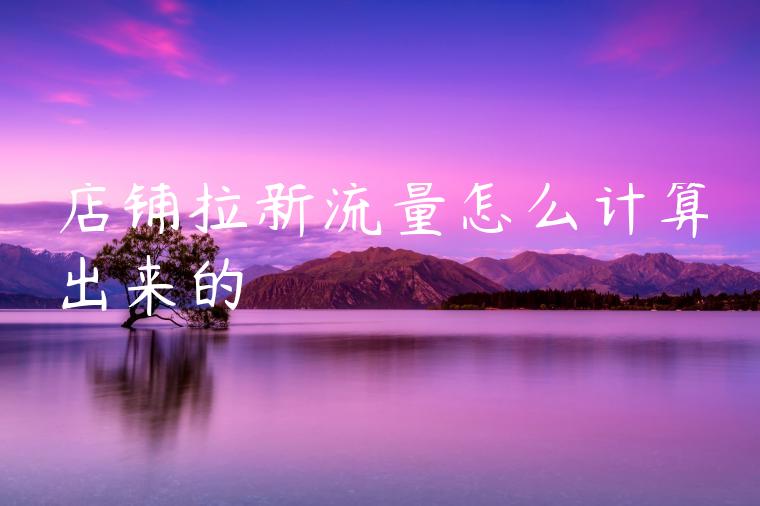 店铺拉新流量怎么计算出来的 店铺拉新流量怎么计算出来的