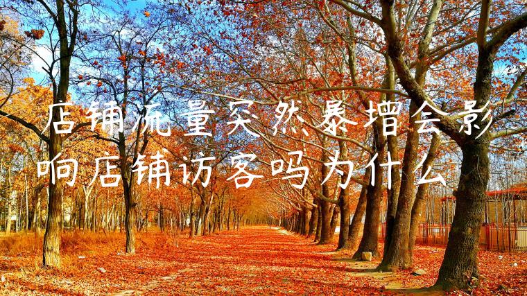 店铺流量突然暴增会影响店铺访客吗为什么