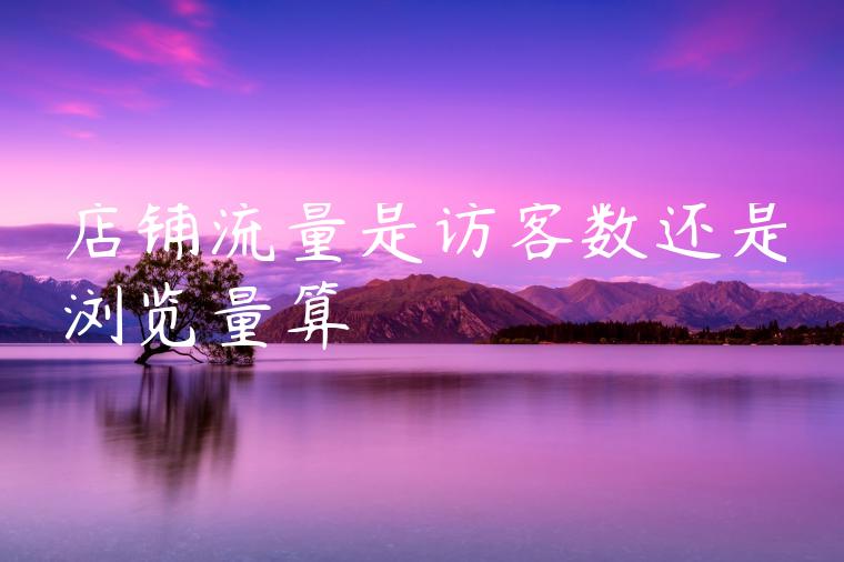 店铺流量是访客数还是浏览量算 店铺流量是访客数还是浏览量算