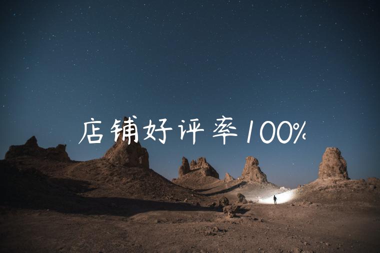 店铺好评率100%