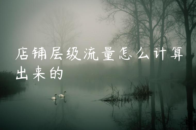 店铺层级流量怎么计算出来的 店铺层级流量怎么计算出来的