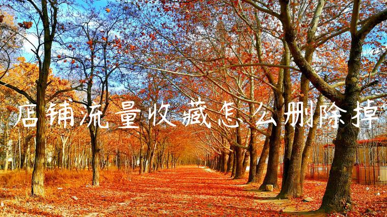 店铺流量收藏怎么删除掉