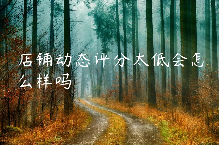 店铺动态评分太低会怎么样吗 店铺动态评分太低会怎么样吗