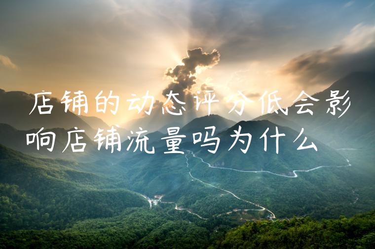 店铺的动态评分低会影响店铺流量吗为什么
