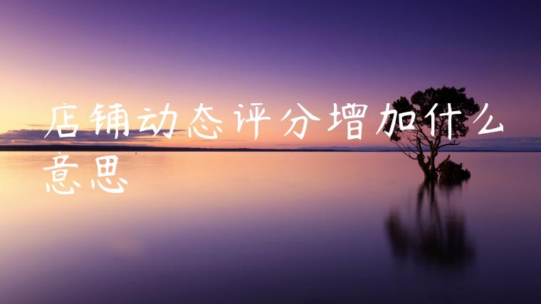 店铺动态评分增加什么意思