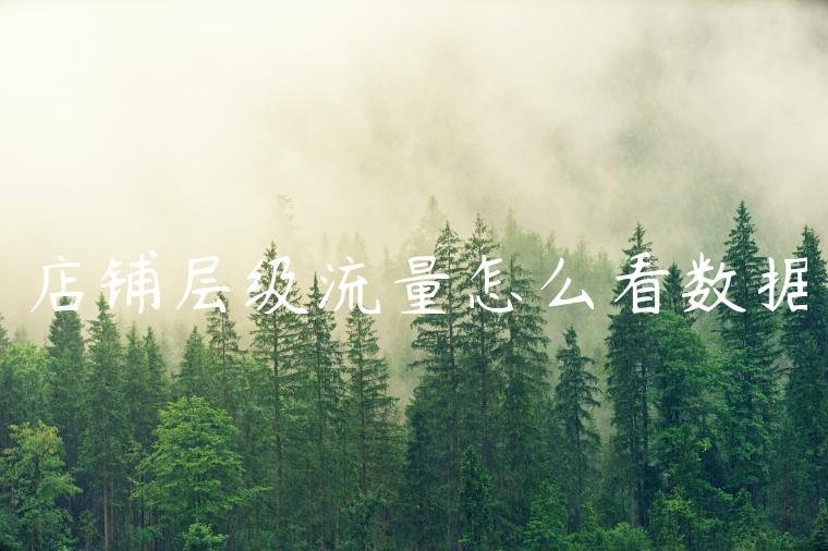 店铺层级流量怎么看数据 店铺层级流量怎么看数据