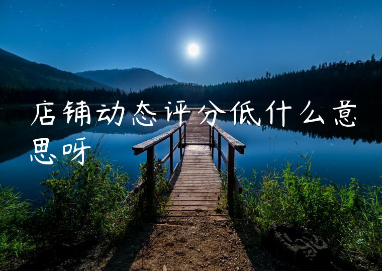 店铺动态评分低什么意思呀 店铺动态评分低什么意思呀