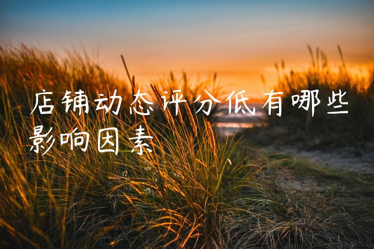 店铺动态评分低有哪些影响因素 店铺动态评分低有哪些影响因素