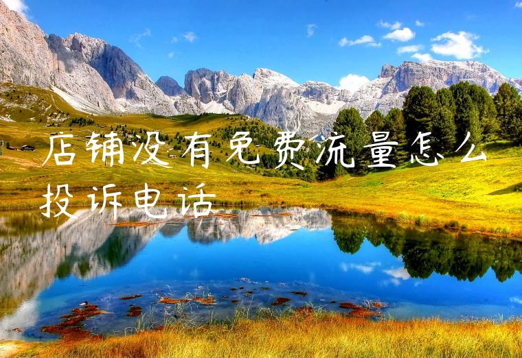 店铺没有免费流量怎么投诉电话