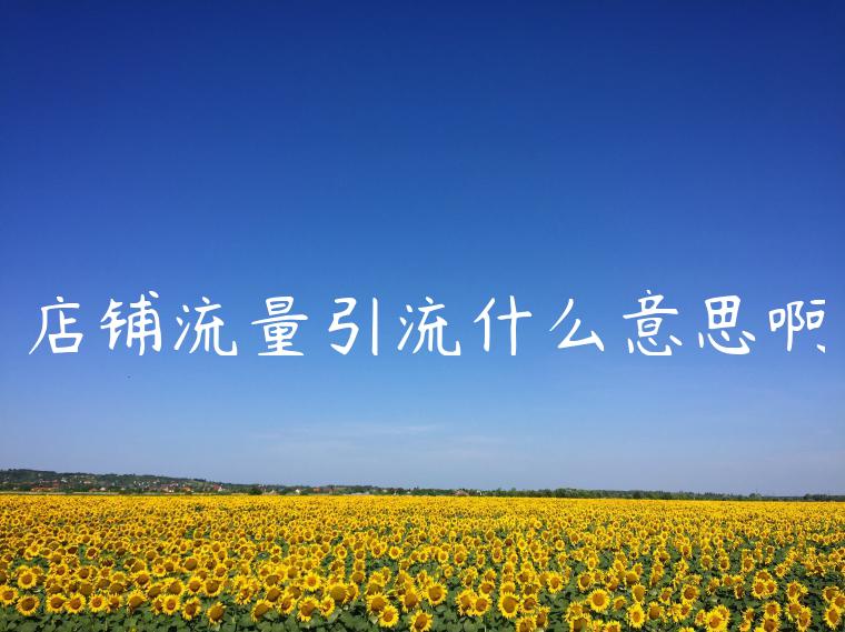 店铺流量引流什么意思啊 店铺流量引流什么意思啊