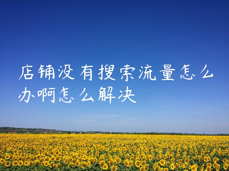 店铺没有搜索流量怎么办啊怎么解决