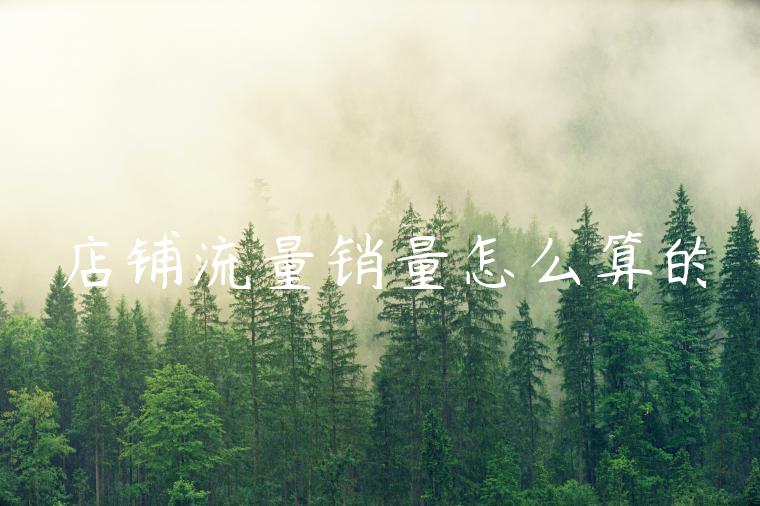 店铺流量销量怎么算的