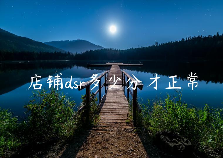 店铺dsr多少分才正常