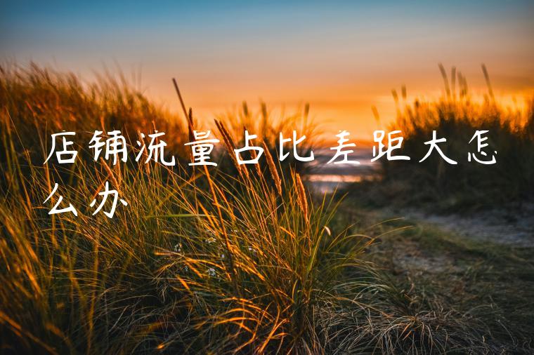 店铺流量占比差距大怎么办 店铺流量占比差距大怎么办