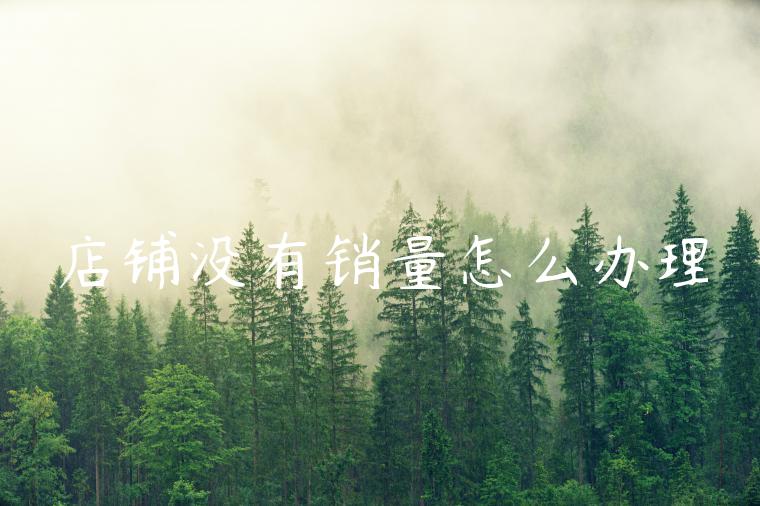 店铺没有销量怎么办理
