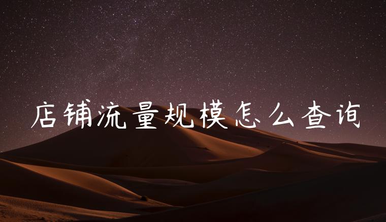 店铺流量规模怎么查询 店铺流量规模怎么查询